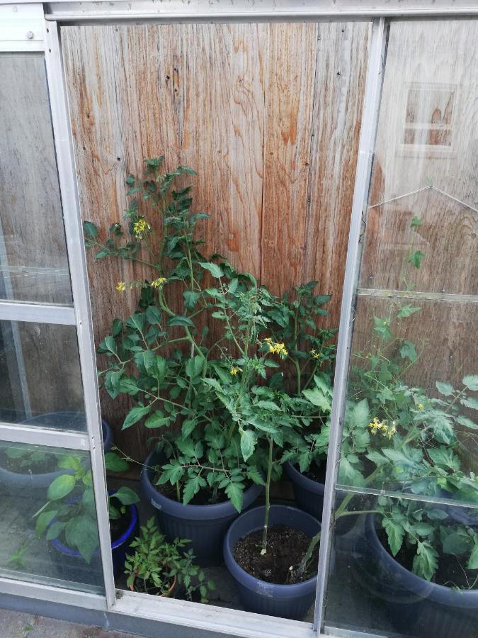 希茨海尔斯Hos Elsa公寓 外观 照片